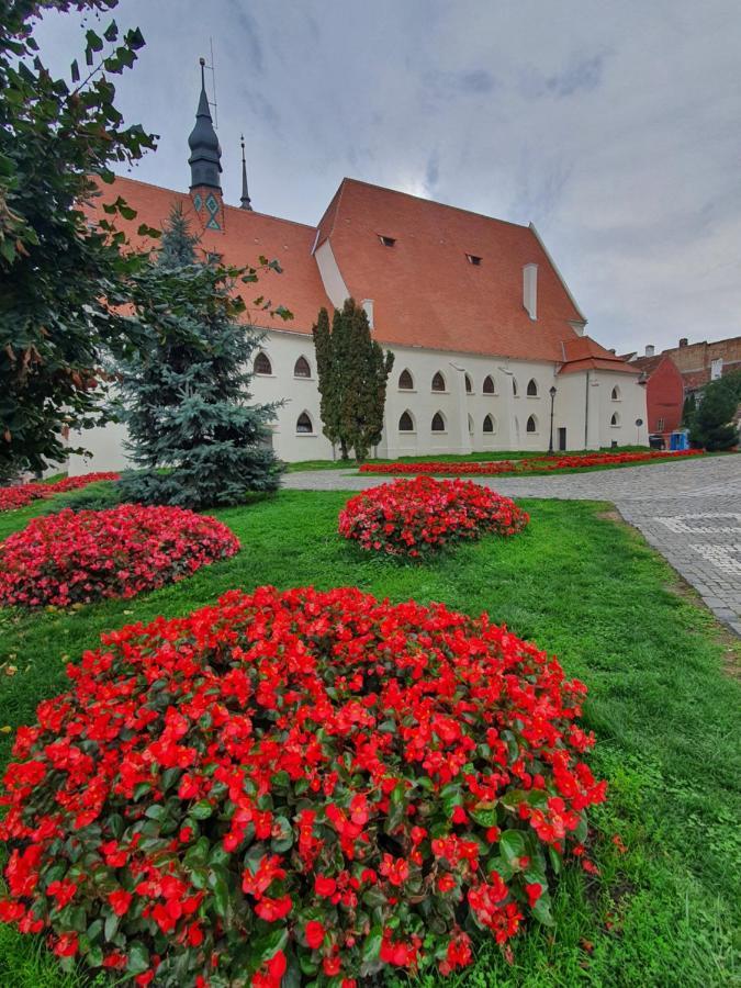 Hotel Via Transilvanica Sighişoara Exterior foto